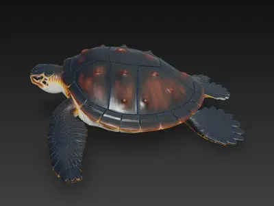 Sea Turtle Realistic 3D Model - Low Poly Realistic Low-poly 3D model