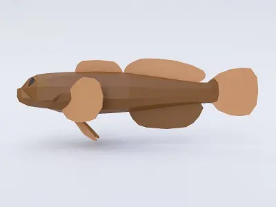 Cottus cognatus fish low poly 3d model  Low-poly 3D model