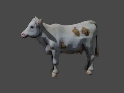 Calf 3d model Free Download Free 3D model