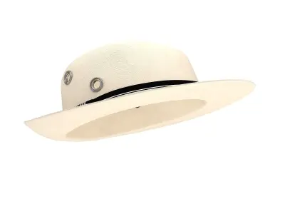 Fedora Hat Isolated 3D model