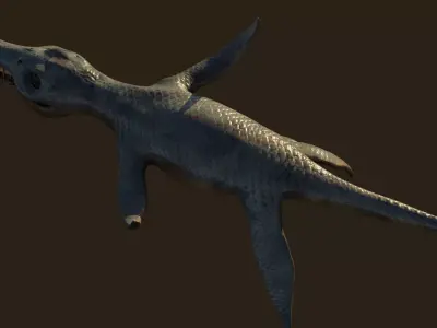 Liopleurodon dinosaur 3D model