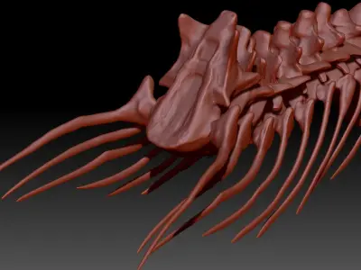 TRex Neck Set Skeletons 3D model