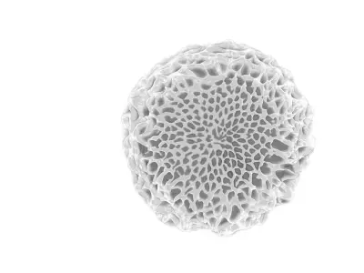 Butterfly egg 3D model