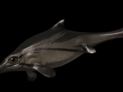 Ophthalmosaurus Asset Pack Low-poly 3D model