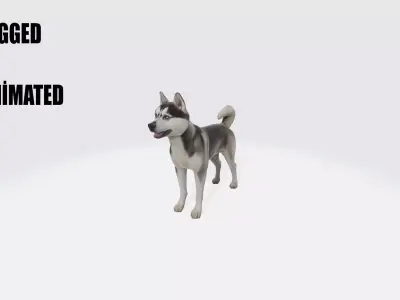 Siberian Husky Dog Model Animated and Rigged 3D model