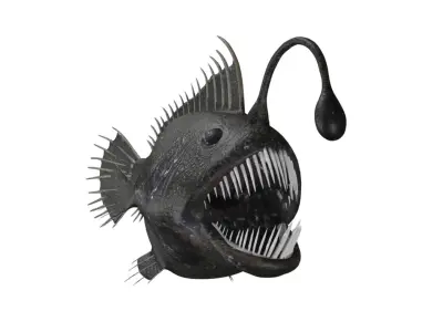 anglerfish fish Low-poly 3D model