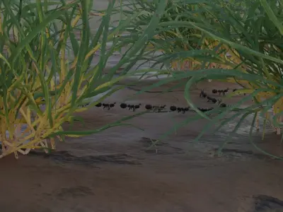 Insects and birds Free low-poly 3D model