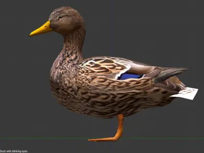 Animated Mallard Ducks Low-poly 3D model