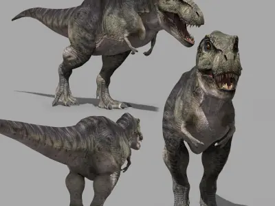 Accurate T Rex 8K - fully animated 3D model