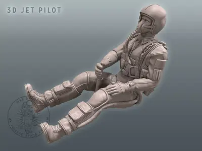 3D Jet Pilot 3D print model