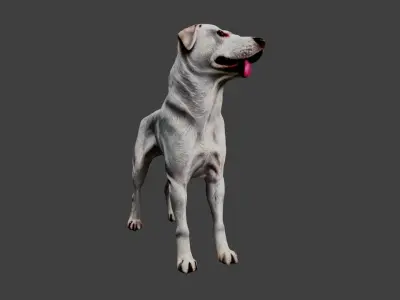 Dog Animal Low-poly 3D model