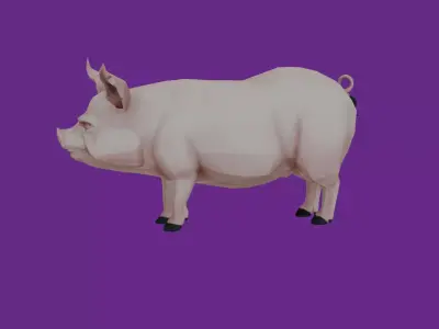 lowpoly pig 3D model