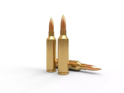 270 Winchester SM Ammo Low-poly 3D model