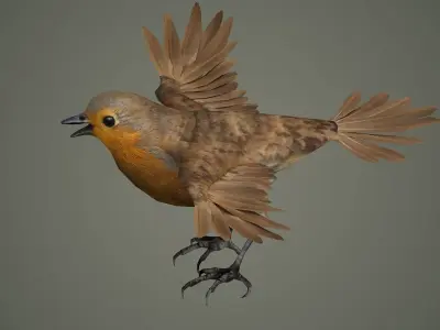 bird jay bee feather eagle cockatoo toucan sparrow  3D model