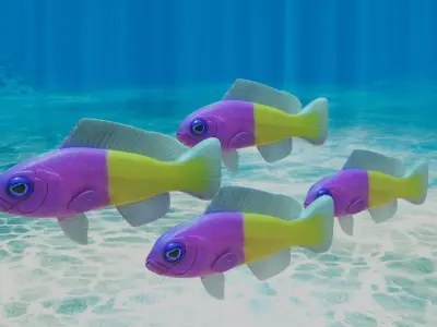 Bicolor Dottyback Fish 3D model