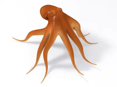 3D CARTOON OCTOPUS Low-poly 3D model