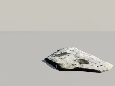 Fossil Whale Bones Scanned 3d Model 3D model
