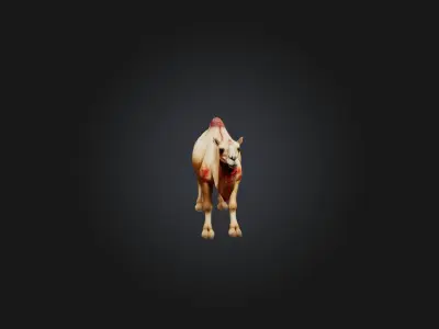 Realistic Wounded Camel Model Low-poly 3D model