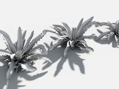 Plants Pack 7: Rainforest: GrowFX 3D model