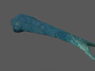 Toothless Tailfish Low-poly 3D model