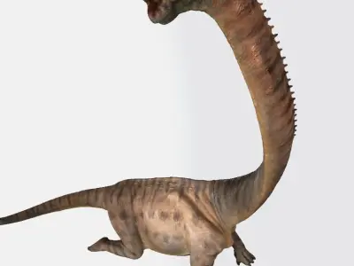 Europasaurus 3d model dinosaur with long neck 3D model