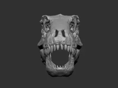 Dinosaur Skull 3D print model