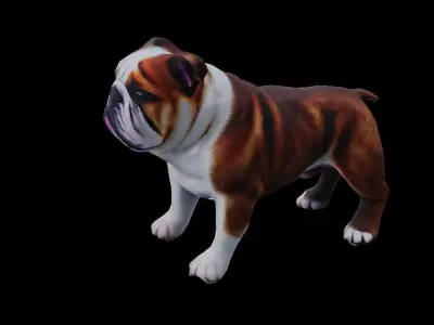 Realistic bulldog low poly  Low-poly 3D model