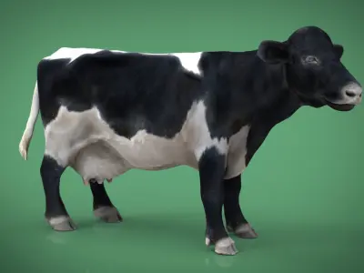 REALISTIC COW Low-poly 3D model