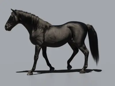 Horse animated 3D model get