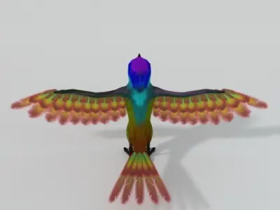 Hummingbird colorful Low-poly 3D model