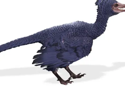 BIRD RIGGED PREHISTORIC BIRD Low-poly 3D model
