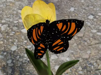 Procedural Butterfly Rigged Free low-poly 3D model