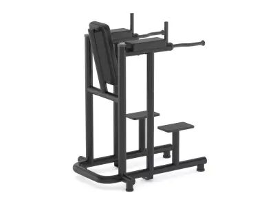 Technogym Bench Leg Raise Dip 3D model
