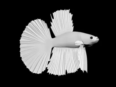 3DS Max Betta Rigged Low-poly 3D model