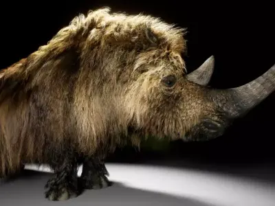 The Woolly Rhino Free low-poly 3D model