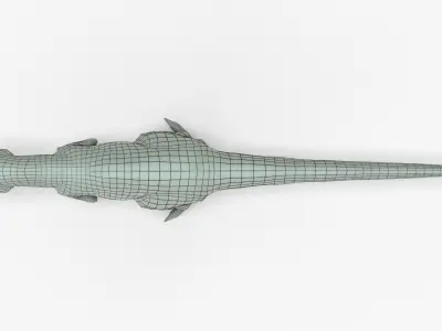 Giganotosaurus Rigged Basemesh Low-poly 3D model