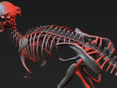 Pachycephalosaurus Skeleton 3D model