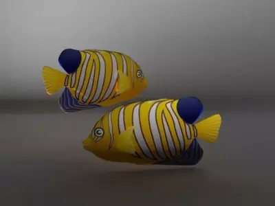 Angel Fish  Low-poly 3D model