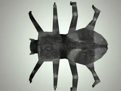 The Gray Spider Low-poly 3D model