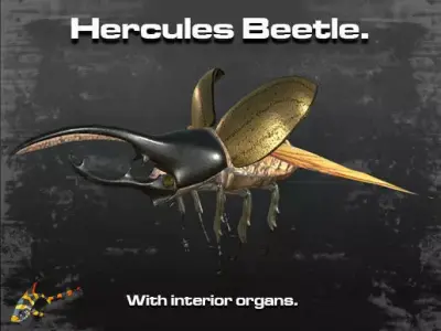 Hercules Beetle 3D model