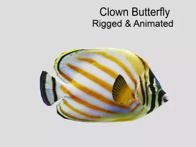 Clown Butterfly Realistic Animated Low-poly 3D model