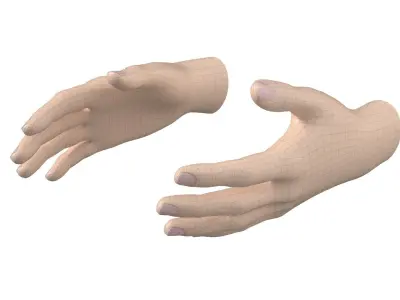 Female Hand Base Mesh 01 3D model