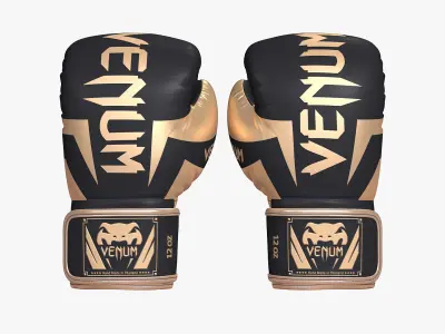 Venum Elite Boxing Punch Gloves Sparring 8K 3D model