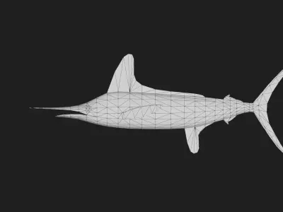 Marlin Low-poly 3D model