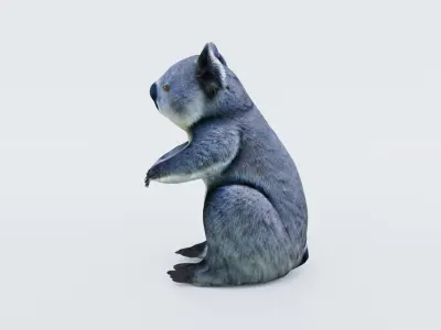 Koala Free 3D model purchase