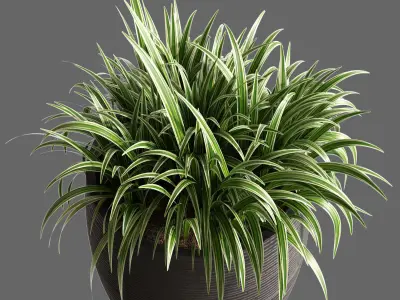 Plant Collection Rpm 05 3D model