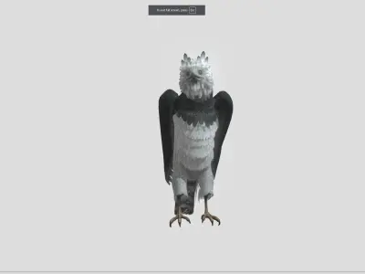 Harpy eagle Low-poly 3D model