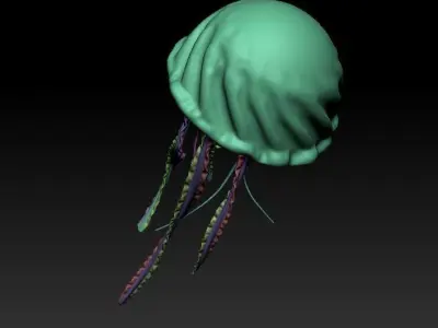 Jellyfish Deep Ocean Creature Base Mesh 3D model