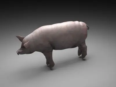 Pig Animal 3D model
