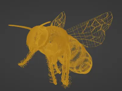 Honeybee 3D model